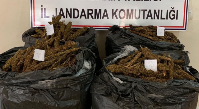 Diyarbakır’da 66 kilo esrar ele geçirildi Diyarbakır’da 66 kilo esrar ele geçirildi