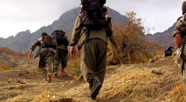 Hakkari'de bir terörist teslim oldu Hakkari'de bir terörist teslim oldu