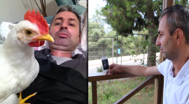 Kaybolan horozunu bulmak için dedektif gibi iz sürüyor