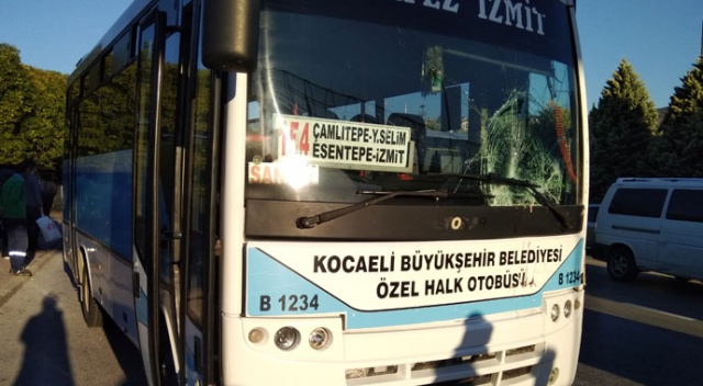 Kocaeli’de halk otobüsü kazaya karıştı: 3 yaralı Kocaeli’de halk otobüsü kazaya karıştı: 3 yaralı