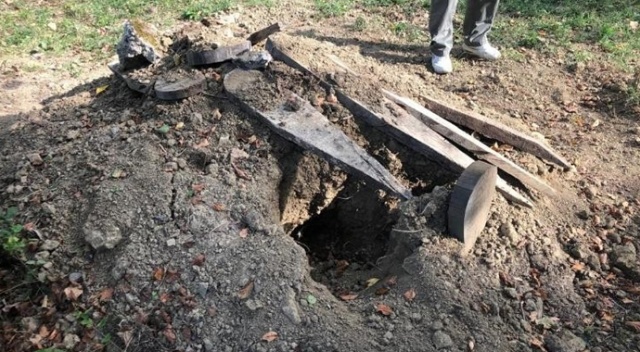 Mezarlıktaki fotokapana çakal ve yavruları takıldı