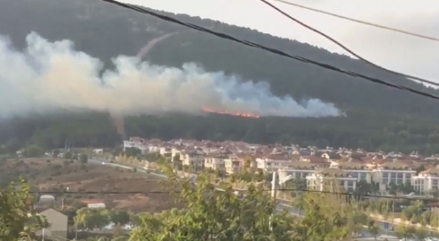 Pendik'te orman yangını! Kontrol altına alındı Pendik'te orman yangını! Kontrol altına alındı