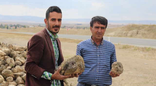 Üniversite mezunu genç çiftçi babasıyla tarım yapıyor
