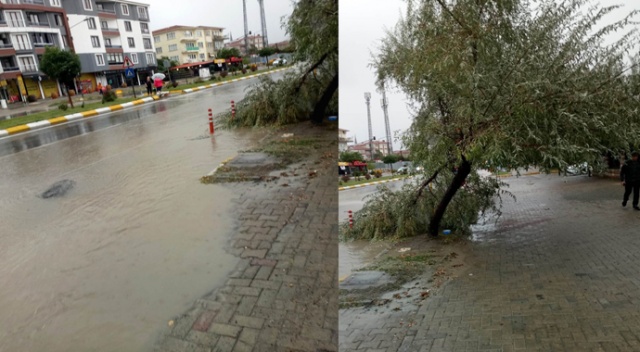 Ağaçlar kırıldı, yollar göle dündü Ağaçlar kırıldı, yollar göle dündü