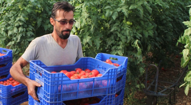 Antalya'da çiftçiye şok yaşatan ceza Antalya'da çiftçiye şok yaşatan ceza