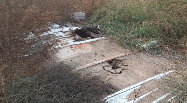 Foseptik kuyusuna düşen çocuk hayatını kaybetti Foseptik kuyusuna düşen çocuk hayatını kaybetti