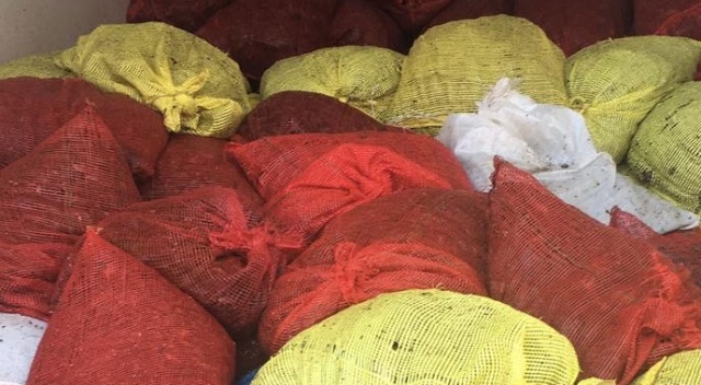 Keşan'da 1 ton 600 kilogram beyaz kum midyesi ele geçildi Keşan'da 1 ton 600 kilogram beyaz kum midyesi ele geçildi