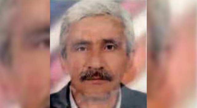 Kestiği ağaç üzerine devrildi