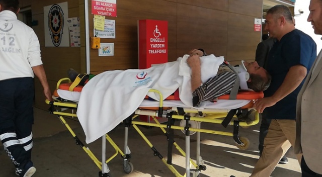 Kestiği ağacın altında kalan adam yaralandı Kestiği ağacın altında kalan adam yaralandı
