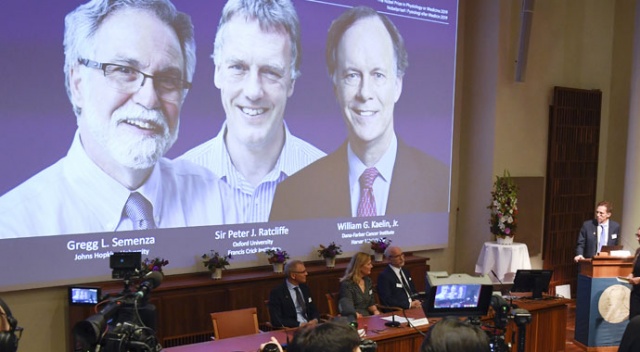 Nobel Tıp Ödülü sahiplerini buldu Nobel Tıp Ödülü sahiplerini buldu