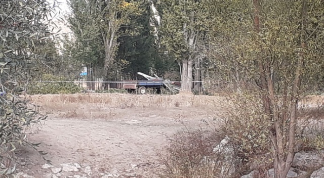 Üstüne, kesilen ağaç parçası düşen kadın hayatını kaybetti Üstüne, kesilen ağaç parçası düşen kadın hayatını kaybetti