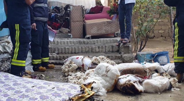 Van’da korkutan yangın Van’da korkutan yangın