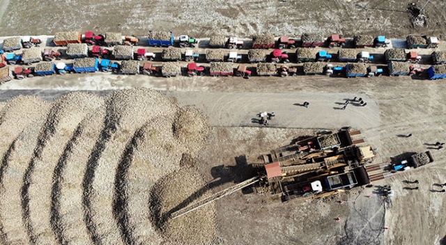 38 dönümden 250 ton ürün alınıyor! Çiftçilerin zorlu mesaisi devam ediyor 38 dönümden 250 ton ürün alınıyor! Çiftçilerin zorlu mesaisi devam ediyor