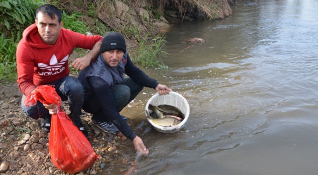 Gediz Nehri'nde su seviyesi düşünce elle balık avladılar Gediz Nehri'nde su seviyesi düşünce elle balık avladılar