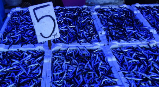 Hamsinin kilosu 5 TL'ye kadar indi Hamsinin kilosu 5 TL'ye kadar indi