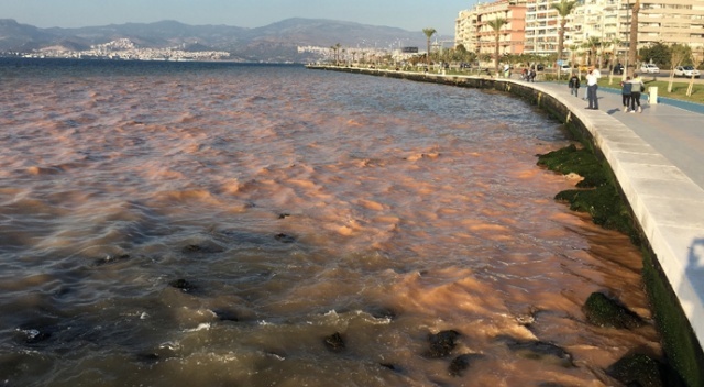 İzmir’de denizin rengi değişti İzmir’de denizin rengi değişti