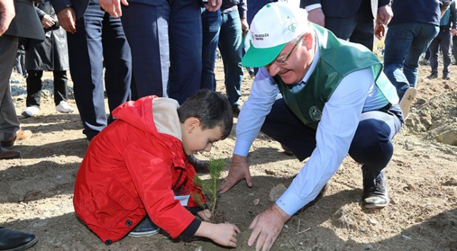 Sivas’ta 511 bin 279 fidan dikildi
