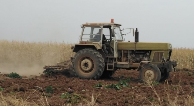 Tel Abyad’da buğday hasadı başladı Tel Abyad’da buğday hasadı başladı