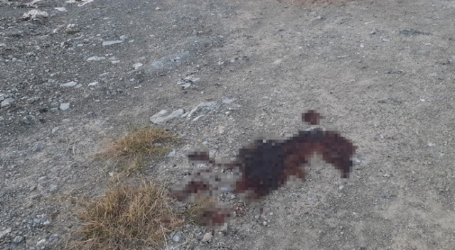 Uşak’ta cinayet Uşak’ta cinayet