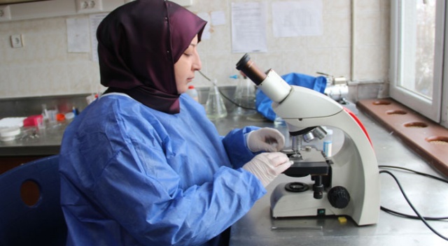 ‘Bor’dan ilaç üretildi ‘Bor’dan ilaç üretildi