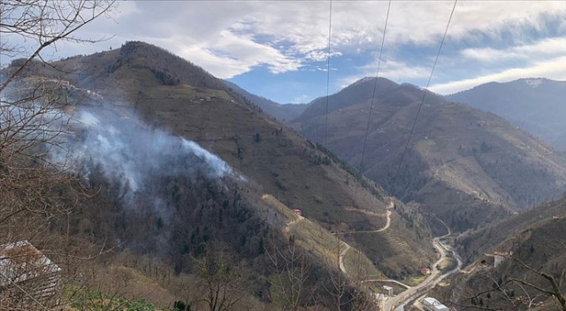 Giresun'da örtü yangınlarına neden olan 5 kişi hakkında suç duyurusu Giresun'da örtü yangınlarına neden olan 5 kişi hakkında suç duyurusu
