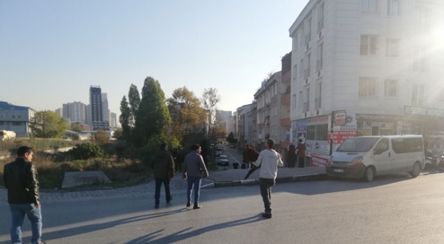 İstanbul&#039;da vatandaşların eşek ve sıpa şaşkınlığı