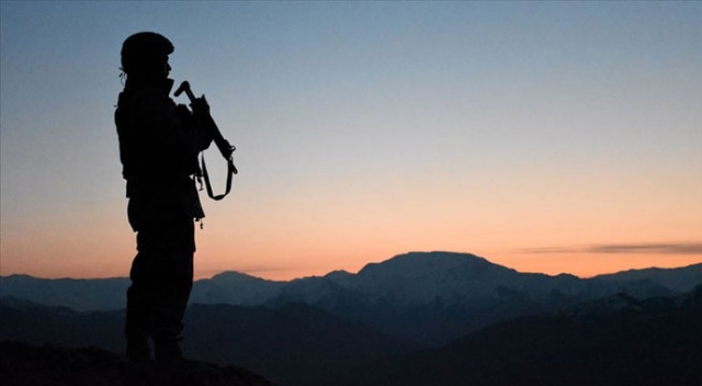 Jandarma ekiplerince ikna edilen PKK'lı terörist teslim oldu