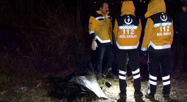 Köpeğe çarpınca aracından indi, başka bir aracın çarpması sonucu öldü