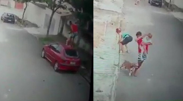 Küçük çocuğu pitbull saldırısından kurtardı, kahraman ilan edildi Küçük çocuğu pitbull saldırısından kurtardı, kahraman ilan edildi