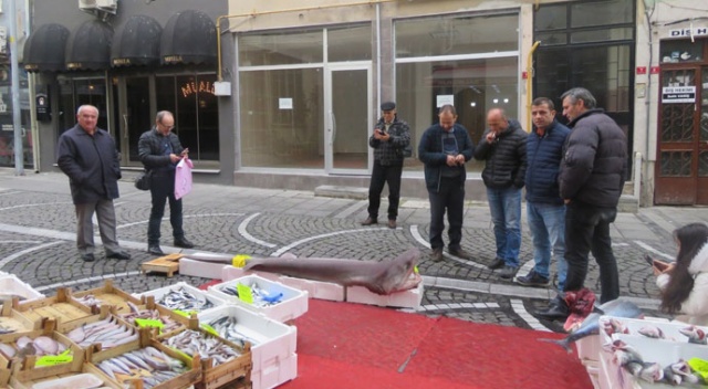 Marmara’da yakalandı! 3.5 metre boyunda, 120 kilo ağırlığında