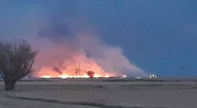 Samsun'da ormanda örtü yangını Samsun'da ormanda örtü yangını