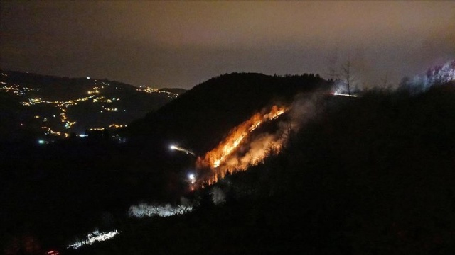 Trabzon'da 100 dönümlük alanda örtü yangını çıktı