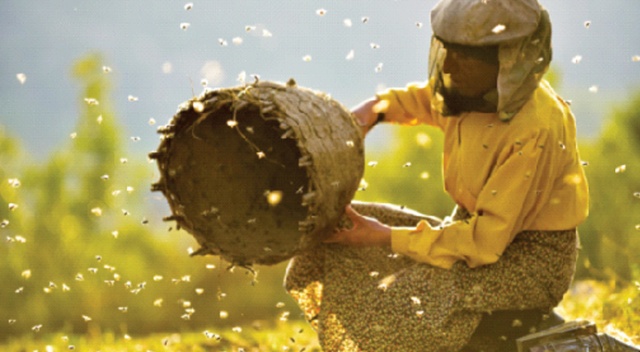 Balkanlardan bal tadında hikâyeler