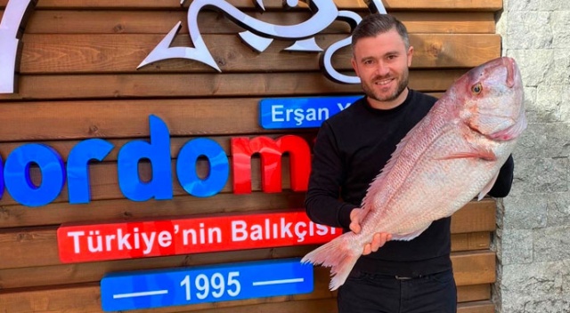 Bordo Mavi Balık Erşan Yılmaz: Balıktan her yemek yapılır Bordo Mavi Balık Erşan Yılmaz: Balıktan her yemek yapılır