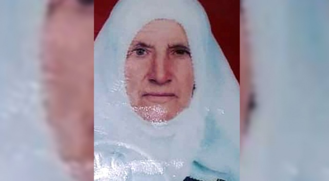 Elazığ'da kaybolan 88 yaşındaki kadın için arama çalışması