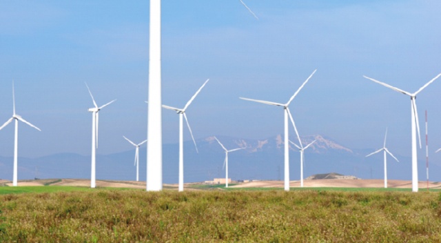 Güllerin  kanadına milli dokunuş