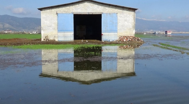 Hatay Amik Ovası'nda evler ve tarım arazileri sular altında kaldı