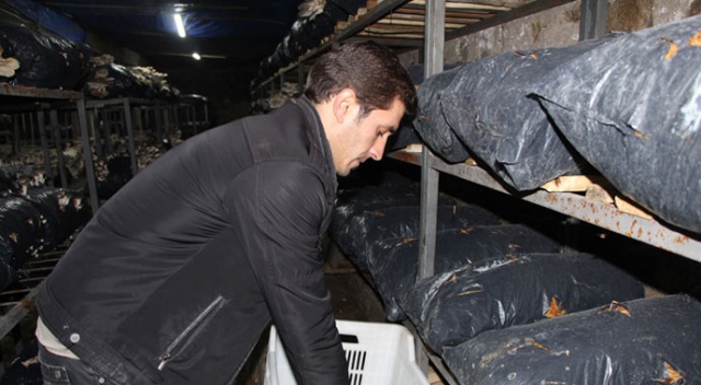 Üretimine hobi olarak başladı, ayda 2 ton üretime rağmen siparişlere yetişemiyor
