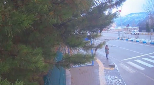 Arama çalışmaları sürüyor! Gülistan Doku'nun yeni görüntüleri ortaya çıktı Arama çalışmaları sürüyor! Gülistan Doku'nun yeni görüntüleri ortaya çıktı