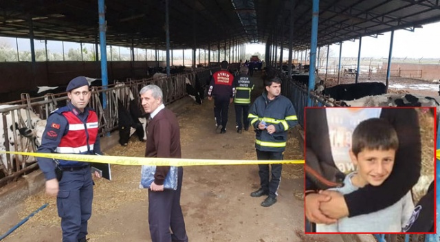 Aydın&#039;da feci ölüm! Yem makinesinin şaftına kapılan çocuk hayatını kaybetti