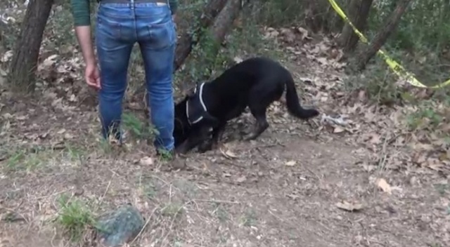 Büyükşehirleri kana bulayacaklardı, işte böyle yakalandılar