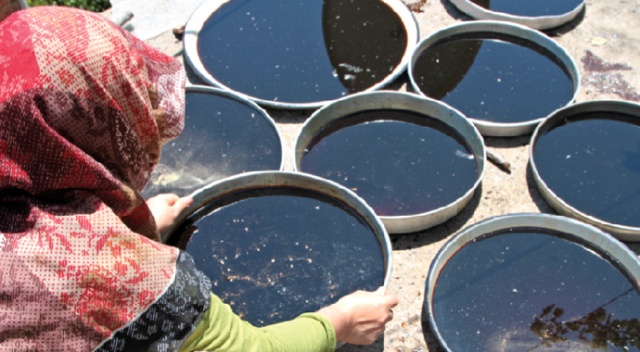 Koronavirüs de neymiş!