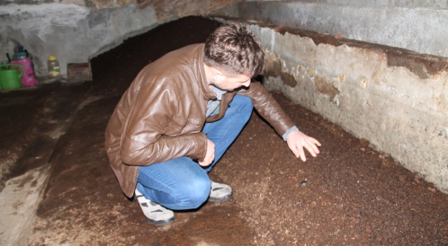 Öğretmeninin tavsiyesiyle başladı, artık köylüler için de üretiyor