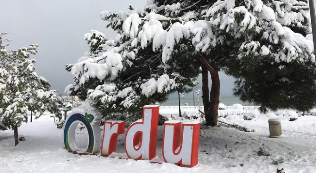 Ordu’da yarın okullar tatil Ordu’da yarın okullar tatil