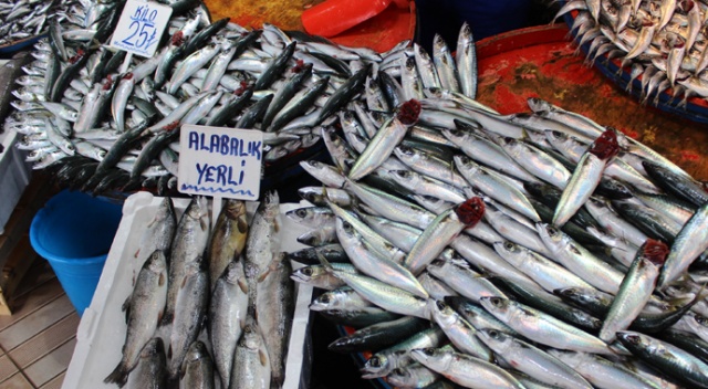 Balık fiyatları yüzde 50 düştü