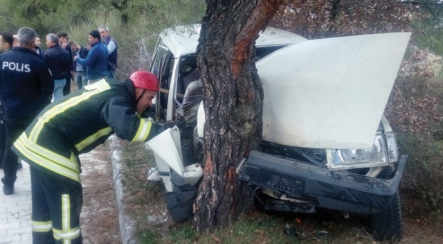 Denizli’de otomobil ağaca çarptı: 1 ölü, 1 yaralı