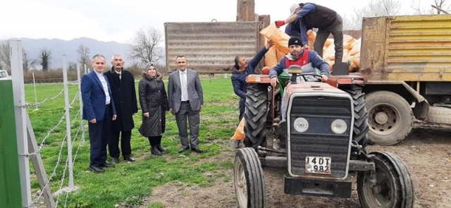 Düzce’de meraların ot verimini arttırılıyor