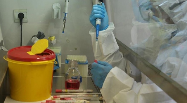 Gürcistan'da koronavirüs vaka sayısı 15'e yükseldi