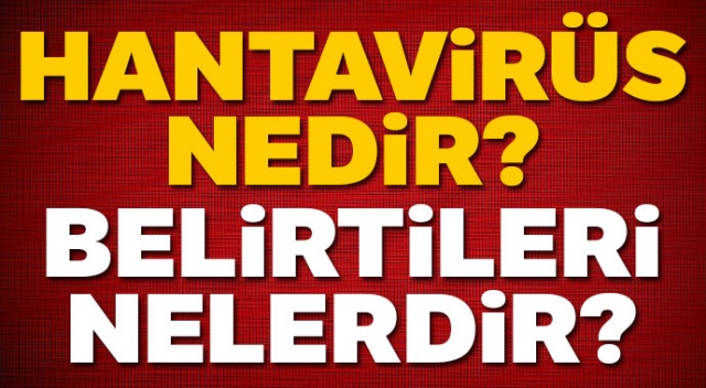 Hantavirüs Nedir, HANTA virüsü belirtileri ve tedavisi nasıl? (Çin'de yeni virüs ortaya çıktı) Hantavirüs Nedir, HANTA virüsü belirtileri ve tedavisi nasıl? (Çin'de yeni virüs ortaya çıktı)