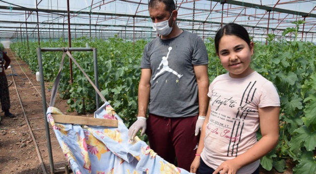 Herkes eve kapandı onların iş yükü arttı, bebekleriyle seralara taşındılar